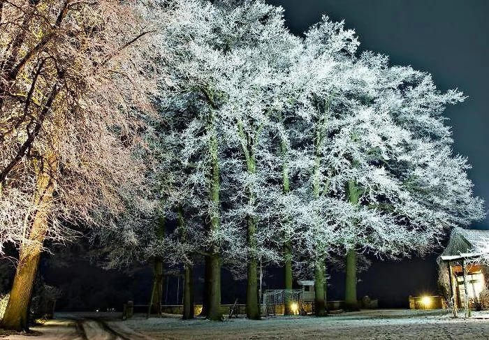 Gæstehus Bruengers Rodinghausen